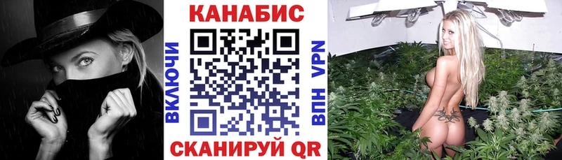Где купить Новокузнецк Бошки Шишки  KRAKEN ONION  Меф мяу мяу  Cocaine 