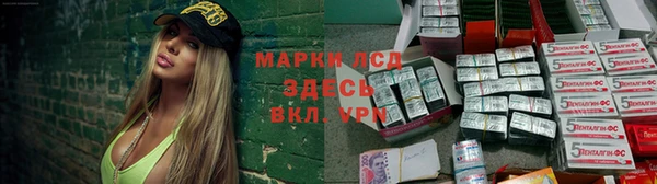 крисы Алзамай