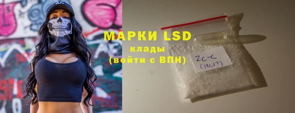 крисы Алзамай