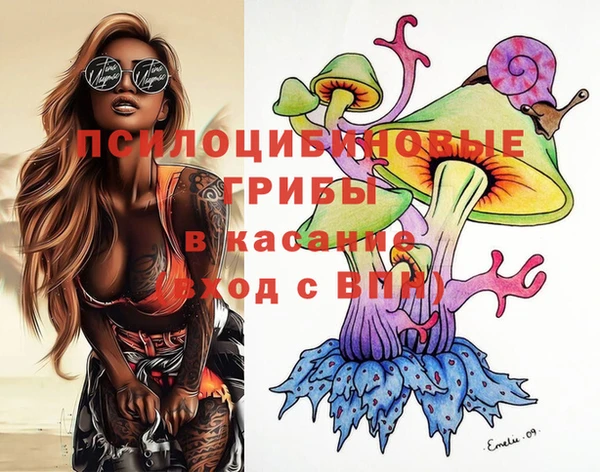 крисы Алзамай