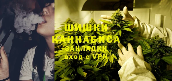 PSILOCYBIN Алексеевка