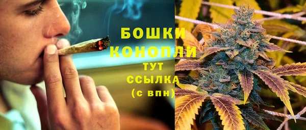 PSILOCYBIN Алексеевка
