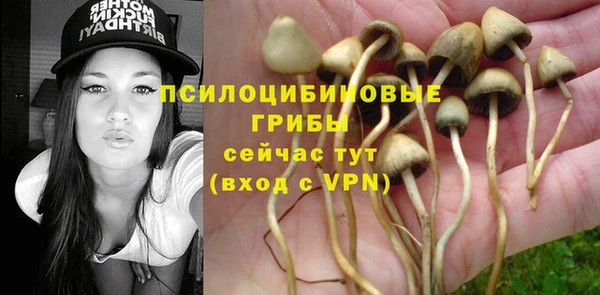 PSILOCYBIN Алексеевка