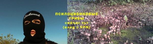 соль ск Абинск