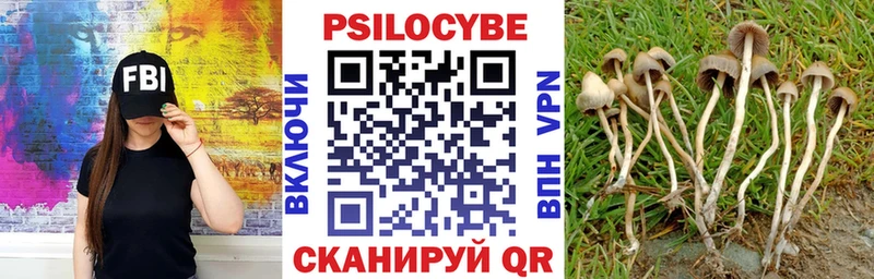 Галлюциногенные грибы мухоморы Новокузнецк