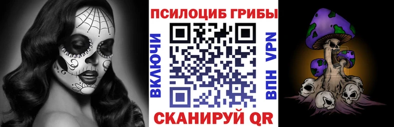 как найти наркотики  Новокузнецк  Псилоцибиновые грибы мухоморы 